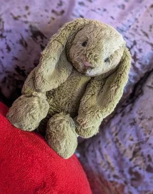 Bashful Moss Bunny - Medium Jellycat | Jelly Journal