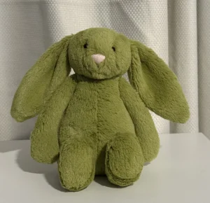 Bashful Moss Bunny - Tiny Jellycat | Jelly Journal