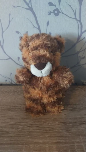 A photo of Little Tiger Jellycat taken by Hope_Collectablez