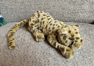 A photo of Charley Cheetah - Little Jellycat taken by JellyDragonLover