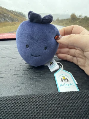 Fabulous Fruit Blueberry Jellycat photo