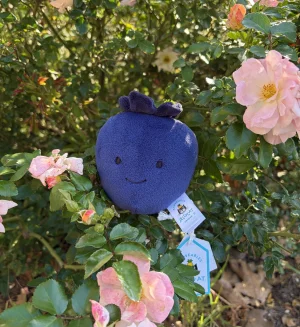 Fabulous Fruit Blueberry Jellycat | Jelly Journal