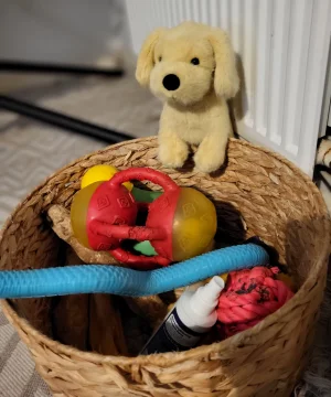 Golden Puppy Jellycat photo