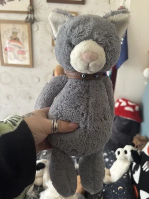 Bashful Kitten Original Jellycat photo uploaded by Slanelivhill