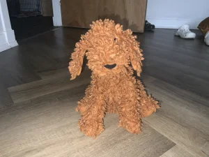 A photo of Cooper Doodle Dog Jellycat taken by Albixxxx
