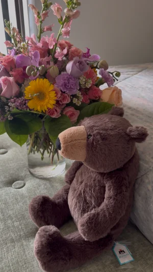 Knox Bear Jellycat photo uploaded by kaleighsjellies