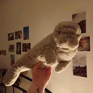 Magnus Manatee Jellycat photo uploaded by herbgardenplush