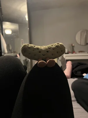 Amuseables Pickle Jellycat photo
