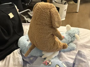 Amore Dog Jellycat | Jelly Journal
