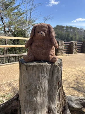 A photo of Amore Dog Jellycat taken by autisticfriend