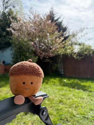 A photo of Amuseables Acorn Jellycat taken by todaysobsessionis