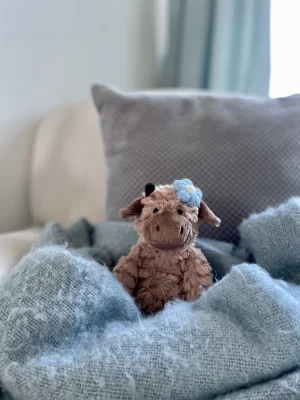 A photo of Fuddles Calf Jellycat taken by Embracingbethan
