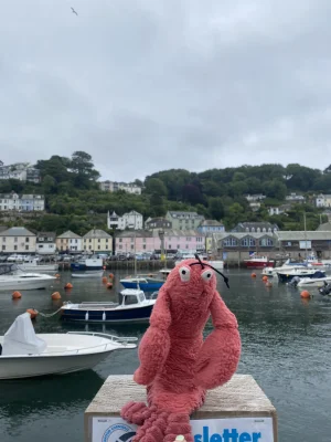 A photo of Larry Lobster Jellycat taken by mollie_26