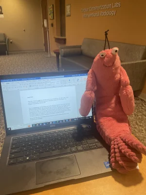 A photo of Larry Lobster Jellycat taken by ForestStag