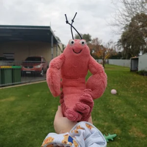 A photo of Larry Lobster Jellycat taken by herbgardenplush