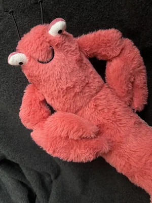 A photo of Larry Lobster Jellycat taken by squ1sh_squeeze