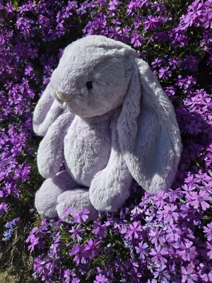 Bashful Lilac Bunny Jellycat photo uploaded by Eliza23
