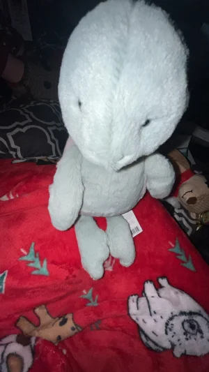 Bashful Turtle Jellycat photo
