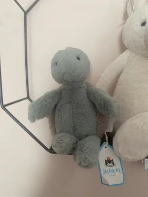 Bashful Turtle Jellycat photo uploaded by Mollysjellys