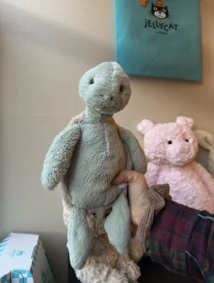 Bashful Turtle Jellycat photo