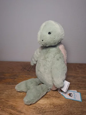 Front photo of Bashful Turtle - Medium uploaded by Sofie