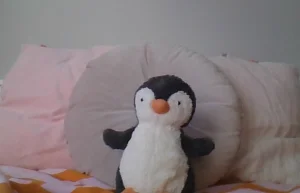 Front photo of Peanut Penguin - Medium uploaded by Jellycat_Jack_