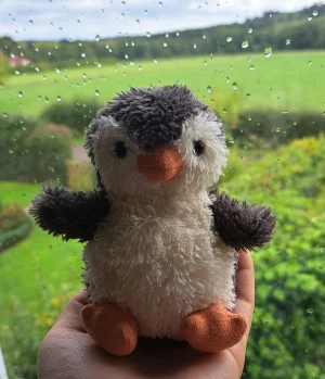 Peanut Penguin - Small Jellycat photo