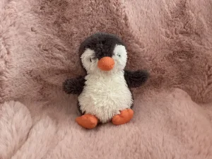 Peanut Penguin - Small Jellycat photo uploaded by doopsybunny
