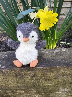 Peanut Penguin - Small Jellycat photo uploaded by Ilovejelly