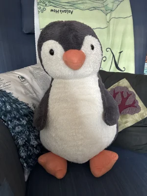 Front photo of Peanut Penguin - Really Big uploaded by Eleanorthatsme