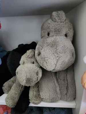 Huggady Dino Jellycat photo uploaded by emilliebee