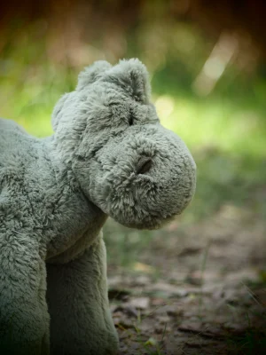 Huggady Dino Jellycat photo uploaded by herbgardenplush
