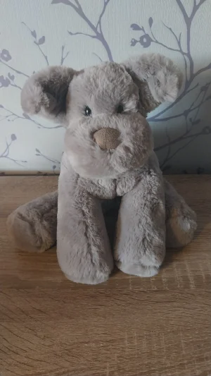 Huggady Dog Jellycat photo uploaded by Hope_Collectablez