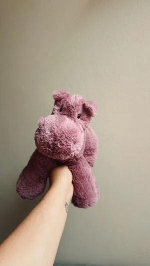 A photo of Huggady Hippo Jellycat taken by brisjellyjournal