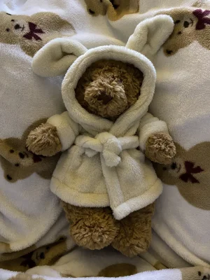 Bartholomew Bear Bathrobe Outfit Jellycat photo