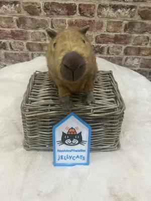 Clyde Capybara Jellycat photo