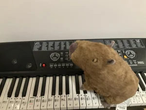 Clyde Capybara Jellycat photo