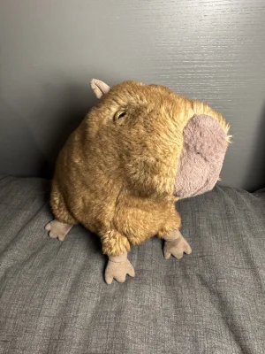 Clyde Capybara Jellycat photo