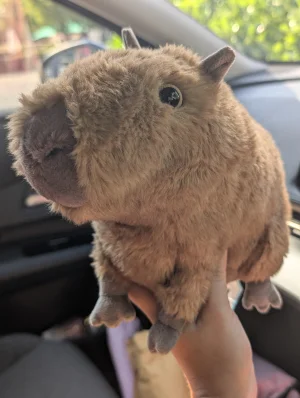 Clyde Capybara Jellycat photo