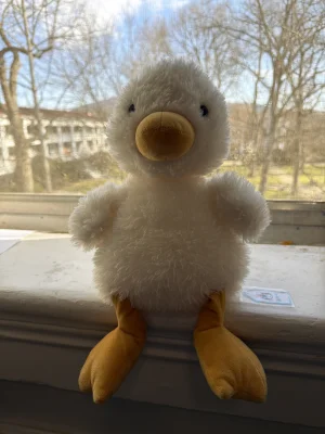 A photo of Dory Duck Jellycat taken by katsjellies