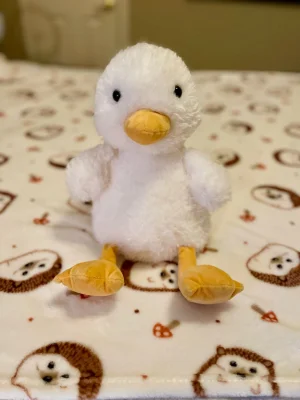 A photo of Dory Duck Jellycat taken by Lollysjellycats