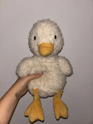 Dory Duck Jellycat photo
