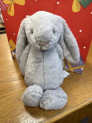 Personalised Bashful Silver Bunny Medium Jellycat | Jelly Journal
