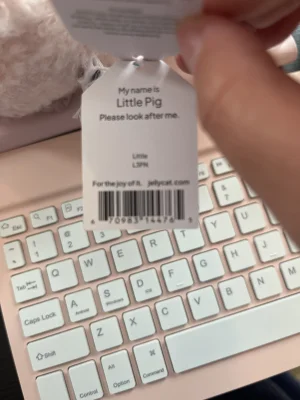 A photo of Little Pig Jellycat taken by SVI