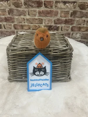 Birdling Robin Jellycat photo