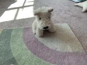 A photo of Munro Scottie Dog Jellycat taken by Dog_queen