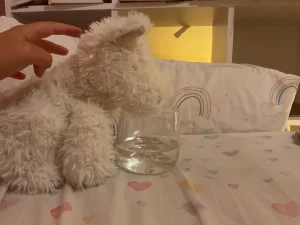 A photo of Munro Scottie Dog Jellycat taken by Flossie19