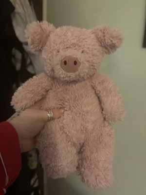 Barnabus Pig Jellycat photo uploaded by Slanelivhill