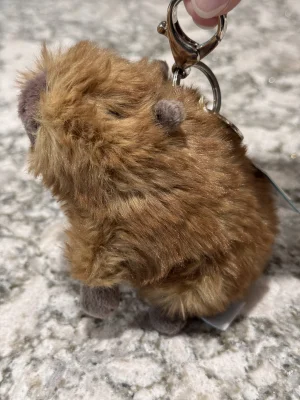 Clyde Capybara Bag Charm Jellycat photo uploaded by SnowLeopard821