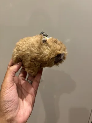 Clyde Capybara Bag Charm Jellycat photo